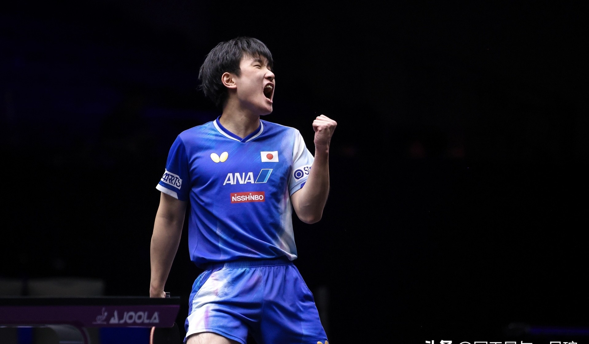 韩国队横扫波兰队，张本智和状态火热