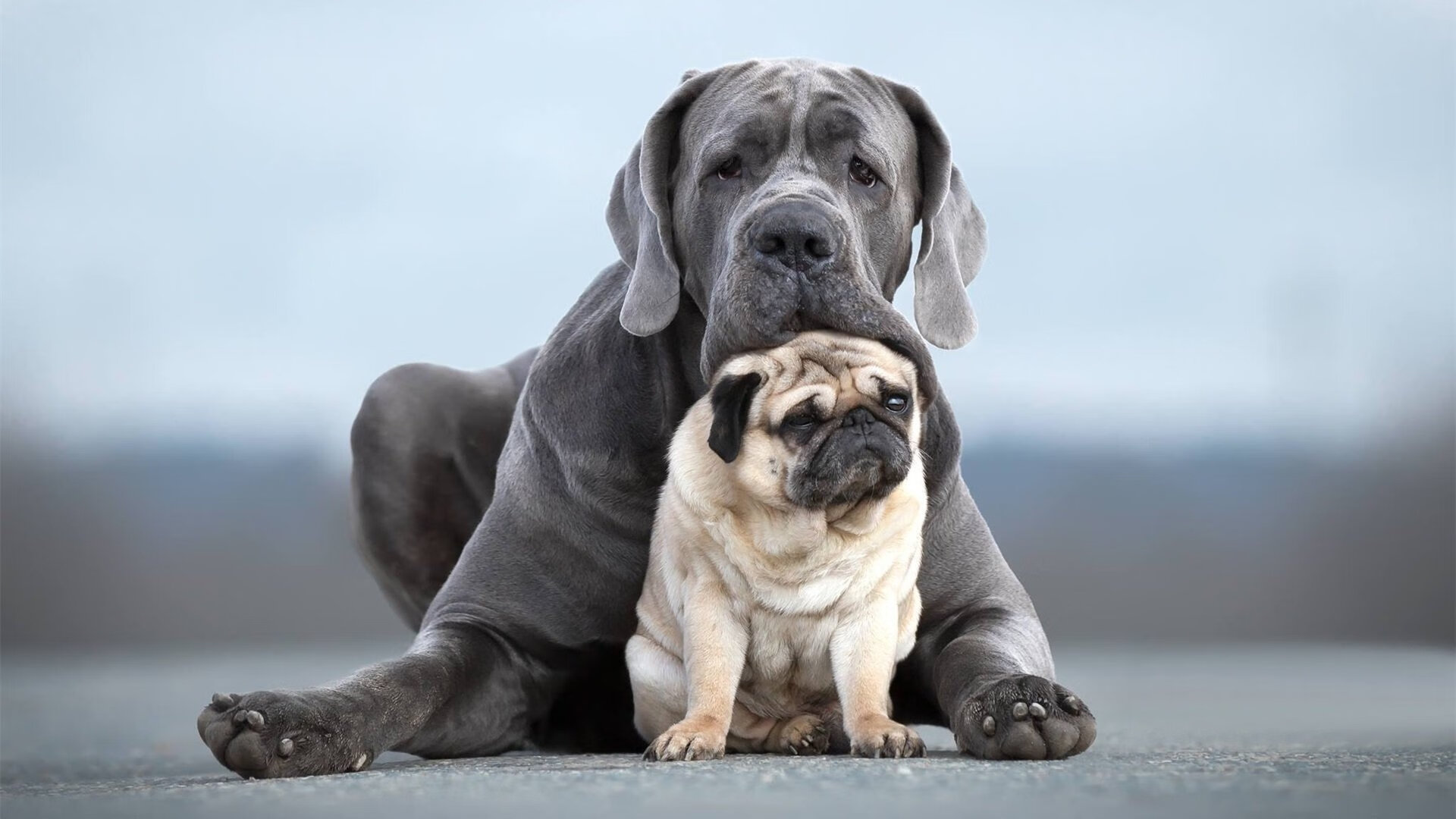 西甲国家德比之夜，哈弗茨大场面先生，一球定乾坤